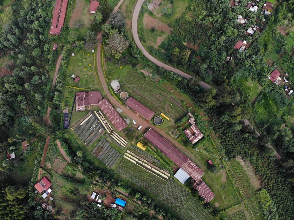 Aerial view of Crowd Farm Africa